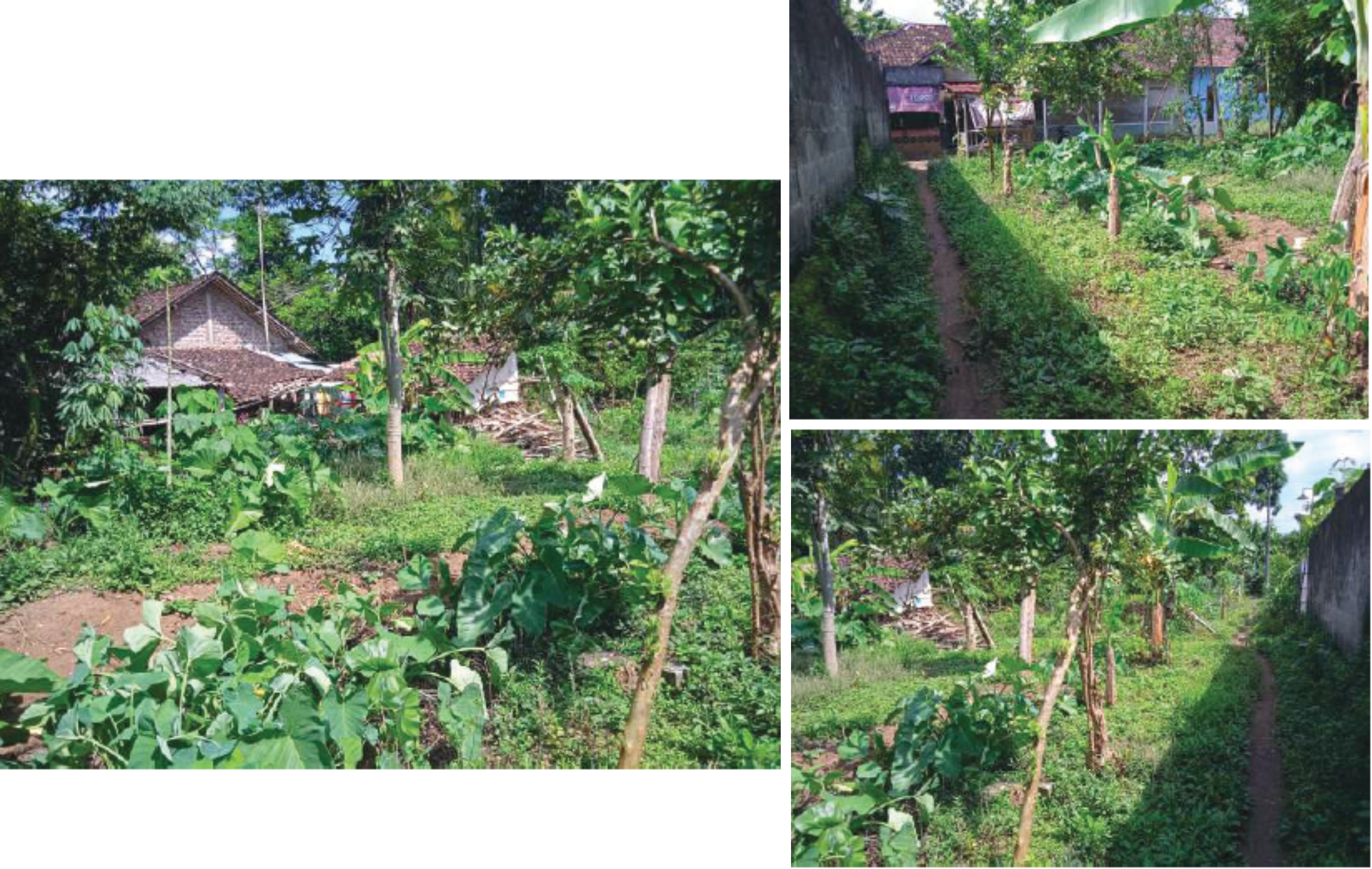 TANAH KOSONG